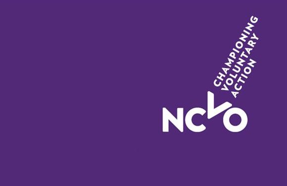 What does the NCVO need in its next chief executive?